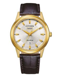 Citizen Herrenuhr EcoDrive AW0102-13AE