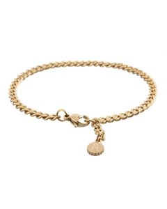 Glücksbringer Armband Edelstahl vergoldet GBB06GO17