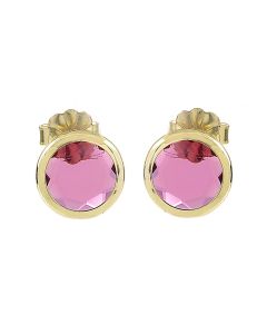 AquaForte Ohrstecker mit violetten Kristallen H4180067